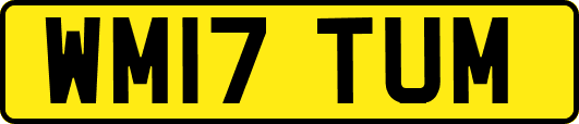 WM17TUM