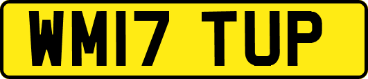 WM17TUP