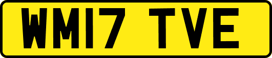 WM17TVE