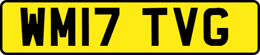 WM17TVG