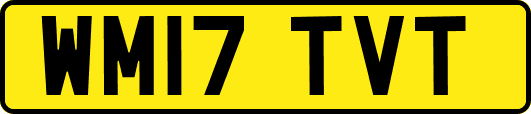 WM17TVT