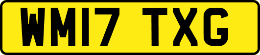WM17TXG