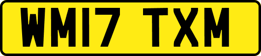 WM17TXM