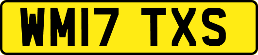 WM17TXS