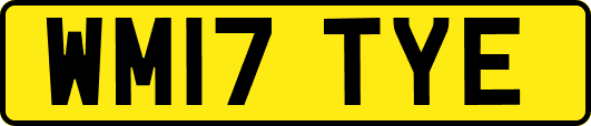 WM17TYE