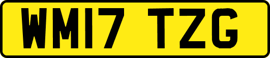 WM17TZG