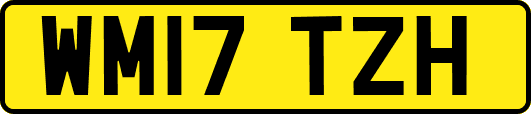 WM17TZH