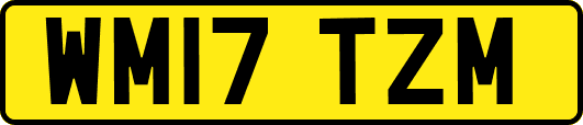 WM17TZM