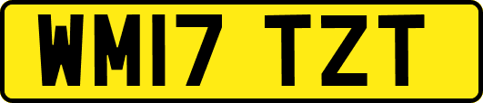 WM17TZT