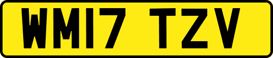 WM17TZV