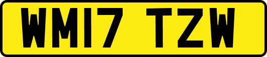 WM17TZW