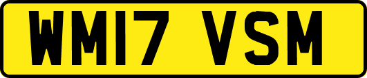 WM17VSM