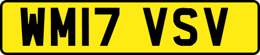 WM17VSV
