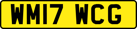 WM17WCG