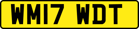 WM17WDT
