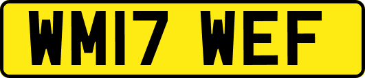 WM17WEF