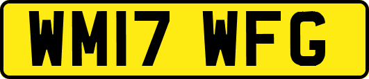 WM17WFG