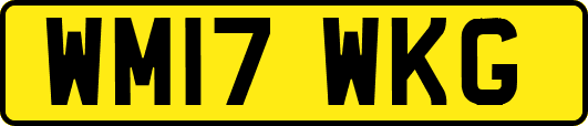 WM17WKG