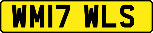 WM17WLS