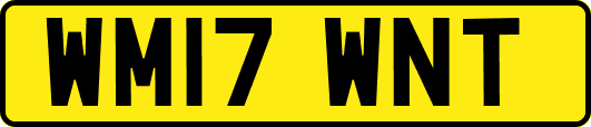 WM17WNT