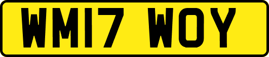 WM17WOY