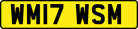 WM17WSM
