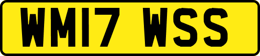 WM17WSS