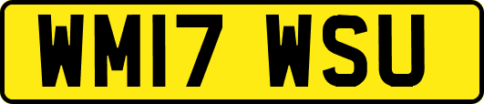 WM17WSU