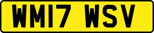 WM17WSV
