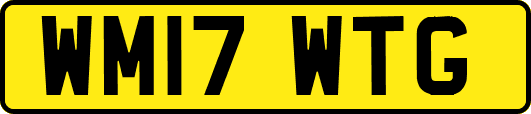 WM17WTG