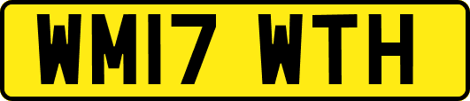 WM17WTH