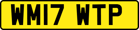 WM17WTP