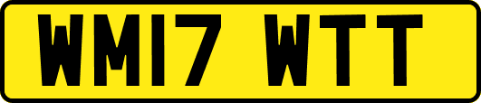 WM17WTT