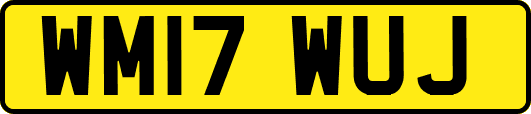 WM17WUJ