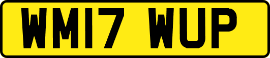 WM17WUP