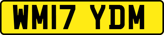 WM17YDM