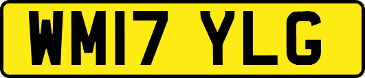 WM17YLG