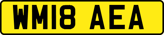 WM18AEA