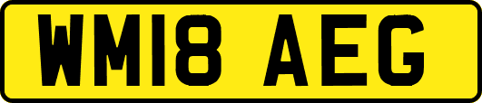 WM18AEG