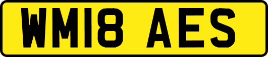 WM18AES