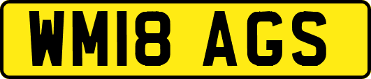 WM18AGS