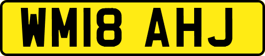 WM18AHJ