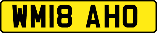 WM18AHO