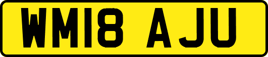 WM18AJU