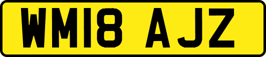 WM18AJZ
