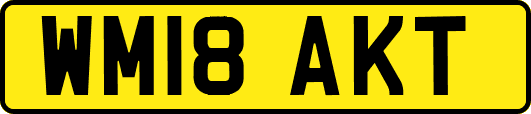 WM18AKT
