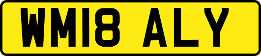 WM18ALY