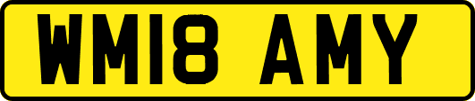 WM18AMY