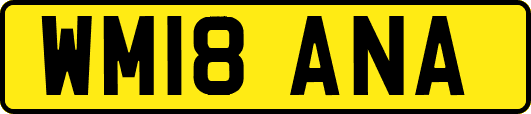 WM18ANA