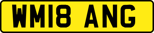 WM18ANG